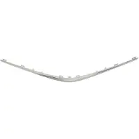 BLIC Sierlijst/beschermstrip, radiatorrooster 6502-07-8156211Q