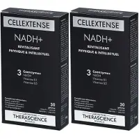 Therascience Belgium Fysiomassa Nadh+ 2x30 St Capsules