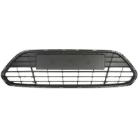 BLIC 6502-07-2556998P Ventilatiegrille, bumper