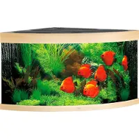 Juwel aquarium Trigon 350 LED met filter licht eiken Juwel