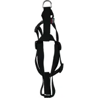 Martin hondentuig basic nylon zwart 70-90x2,5 cm
