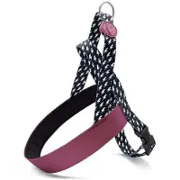 Morsø norwegian tuig voor hond gerecycled power flow zwart 80-110x66 cm