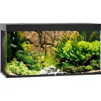Gebr. De Boon Juwel aquarium Rio 350 LED met filter zwart Juwel