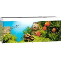 Gebr. De Boon Juwel aquarium Rio 450 LED met filter wit Juwel