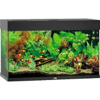 Juwel Aquarium Rio 125 Led Met Filter Zwart
