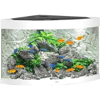 Gebr. De Boon Juwel aquarium Trigon 190 LED met filter wit Juwel