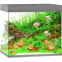 Juwel Aquarium Lido 200 Led Met Filter Grijs