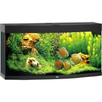 Gebr. De Boon Juwel aquarium Vision 260 LED met filter zwart Juwel