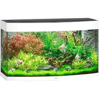 Juwel aquarium Vision 180 LED met filter wit Juwel