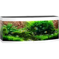 Gebr. De Boon Juwel aquarium Vision 450 LED met filter wit Juwel