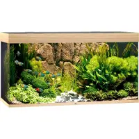 Gebr. De Boon Juwel aquarium Rio 350 LED met filter licht eiken Juwel