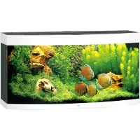 Juwel Aquarium Vision 260 Led Met Filter Wit
