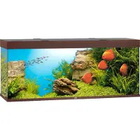 Gebr. De Boon Juwel aquarium Rio 450 LED met filter donkerbruin Juwel