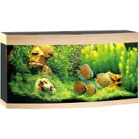 Gebr. De Boon Juwel aquarium Vision 260 LED met filter licht eiken Juwel