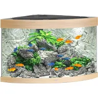 Gebr. De Boon Juwel aquarium Trigon 190 LED met filter licht eiken Juwel