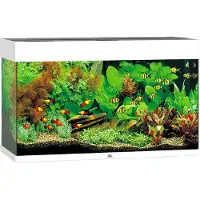 Gebr. De Boon Juwel aquarium Rio 125 LED met filter wit Juwel