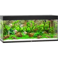 Gebr. De Boon Juwel aquarium Rio 240 LED met filter zwart Juwel