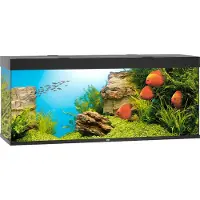 Gebr. De Boon Juwel aquarium Rio 450 LED met filter zwart Juwel