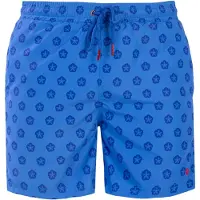 Frozen Cape Boardshorts blauw
