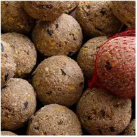 KLASEBO Mezenbollen met insecten, 18kg, 200 stuks, premium, met net, vetbollen vogels