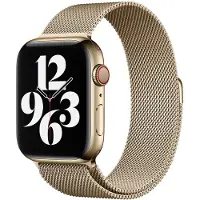 Apple Watch 42/44/45 mm Polsband Milanees Goud
