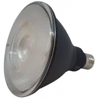 Flos Lamp LED 15W 30° Par38 Cool - (Marino Cristal)