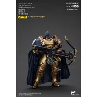 Joy toy Eeuwigen Warhammer Age Of Sigmar Actionstormcast De Zwarte Klauwen Shakana Goldenblade Actiefiguur 20 Cm