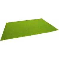 Noch 00006 Landschapsmat Grasveld, kort (l x b) 450 mm x 300 mm