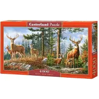 Castorland Puzzel 4000 stukken Royal Deer Family 400317