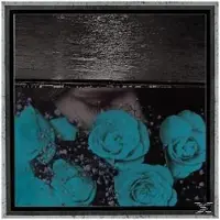 Konkurrent Jessica Bailiff - At The Down-Turned Jagged Rim Of The Sky (LP)