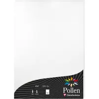 Pollen Papier