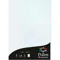 Pollen Papier