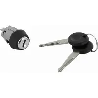 VAICO V10-0109 Slotcilinder, ontstekingsslot
