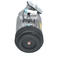 BV PSH 090.135.023.000 Aircopomp