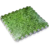 Gre Lot de 9 dalles de protection de sol pour piscine 50 x 50 cm imitation gazon épaisseur 8 mm pour piscine et spa - Gré