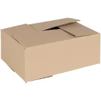 vidaXL Vouwdoos met opslag 50 st Naturel 25 x 17,5 x 10 cm Karton