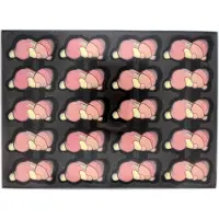 Ickx Chocolade babies melkchocolade-rose - Doos 735 gram