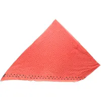 Buff Naadloze bandana lichtgewicht en compact model 27800 unisex