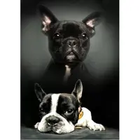 Sweet Home fleece deken Honden - 100 x 140 cm
