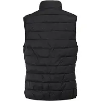 Regatta Dames/Dames Hillpack II Gilet (Zwart)