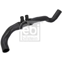 FEBI BILSTEIN 198891 Radiateurslang