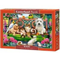 Castorland Pets in the Park Puzzel (1000 stukjes)