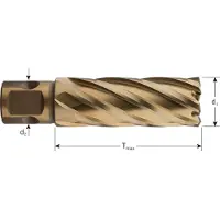 Rotec HSS-XE Kernboor GOLD-LINE, universeel 19, ø43x55 - 5374301