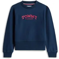 Tommy Hilfiger Sweatshirt navy / lichtrood