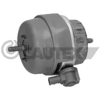 CAUTEX 756317 Motorsteunlager