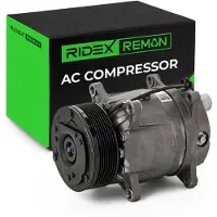 RIDEX 447K0167R Aircopomp