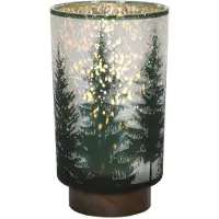 Hit Lamp glas kerstboom m/houten voet dia. 12x20 cm LED 2xAAA