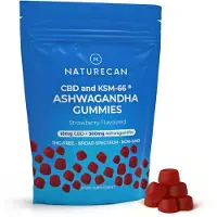 Naturecan - Relax Gummies - CBD & KSM-66 Ashwagandha - Vegan - Fruitsmaak - 60 Gummies
