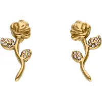 NAEMI Oorbellen goud
