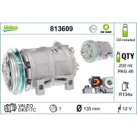 Valeo 813609 Aircopomp